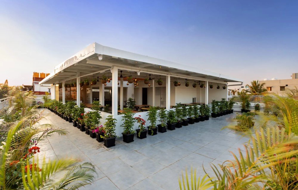 Gallery Picture